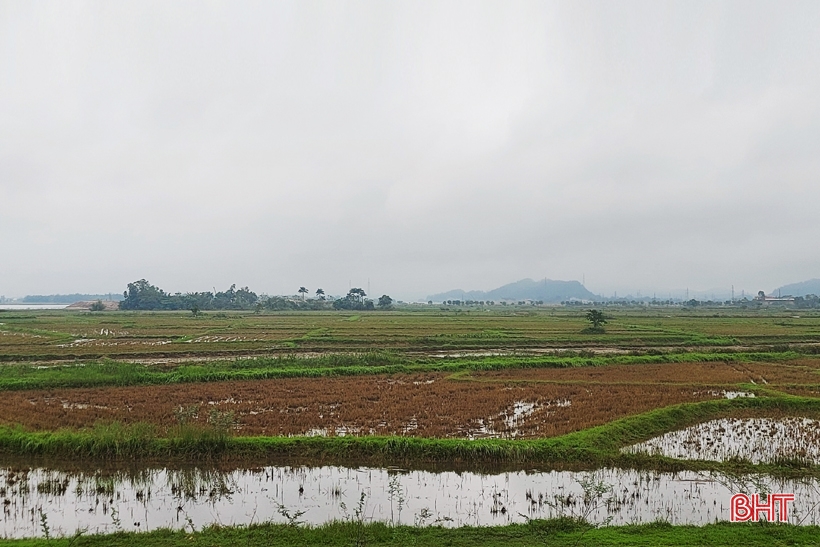 Beobachten Sie, wie die Menschen in Ha Tinh Regenwürmer ernten und jede Nacht Millionen verdienen