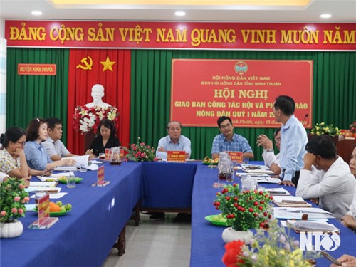 Hội Nông dân tỉnh: Triển khai chương trình công tác trọng tâm quý II năm 2024