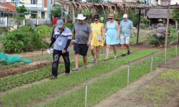 จังหวัดและเมืองที่มีรายรับและจำนวนนักท่องเที่ยวสูงสุดในปี 2567