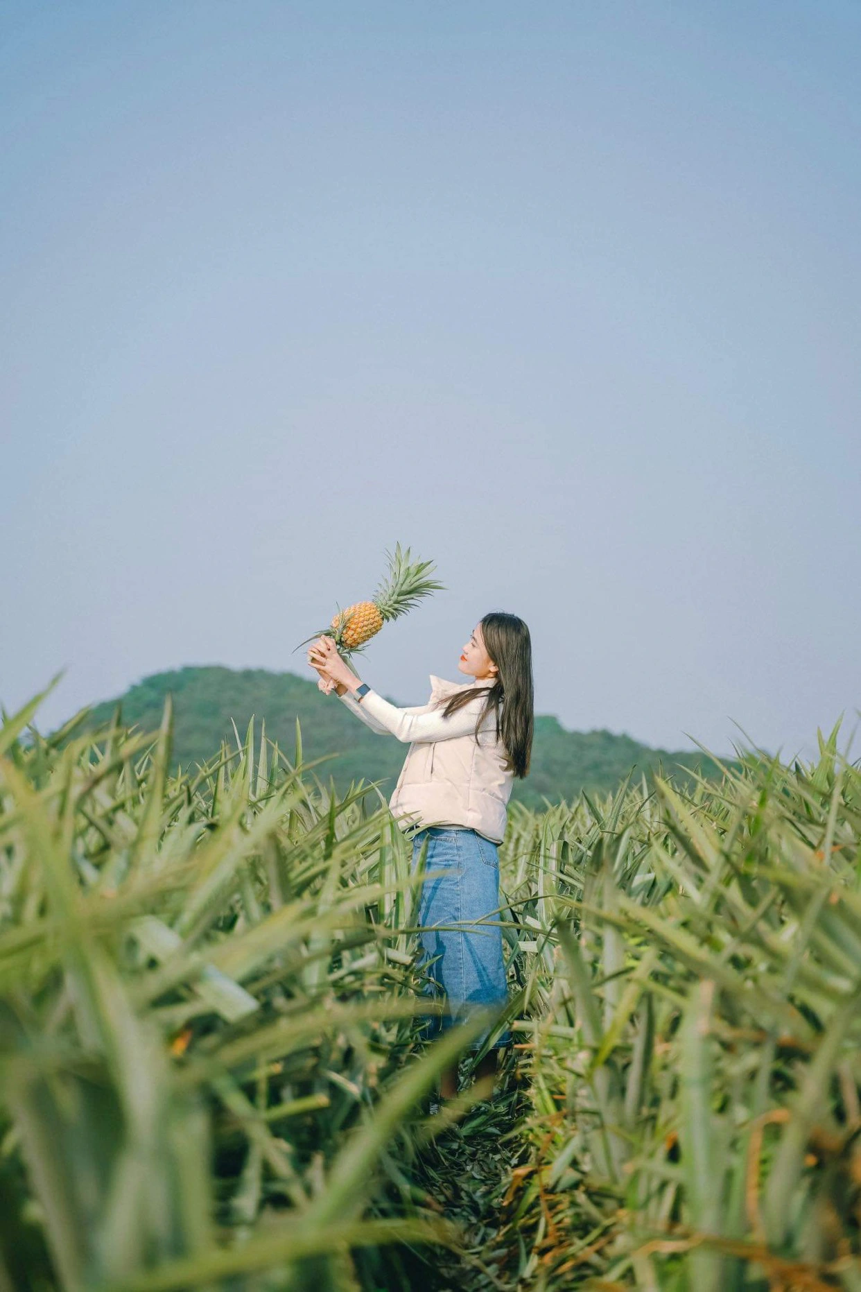 ពេលវេលាដ៏ល្អបំផុតដើម្បីទៅលេងភ្នំម្នាស់ Tam Diep គឺប្រហែលខែមិថុនា និងកក្កដា ជារៀងរាល់ឆ្នាំ។