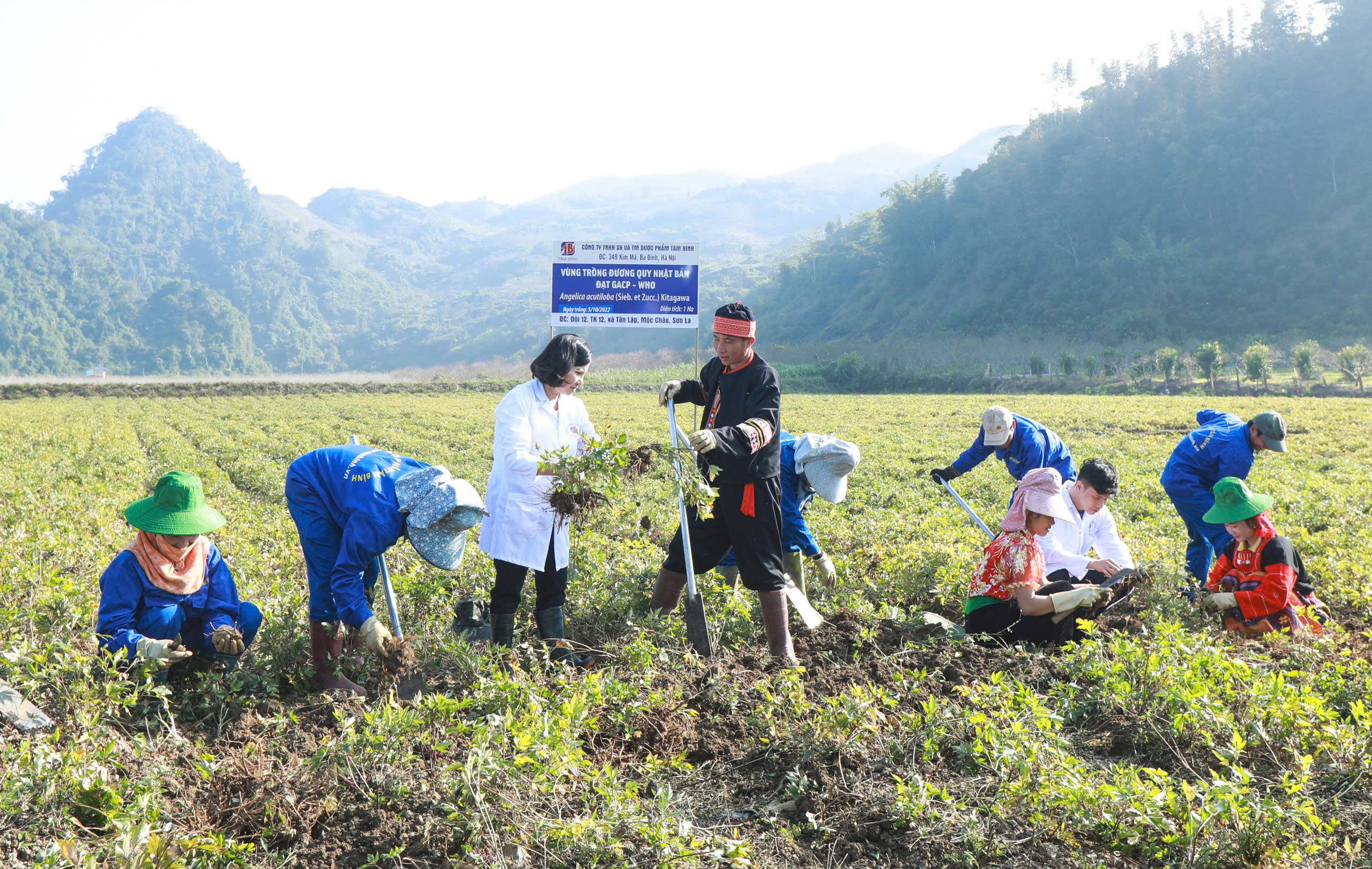 Tam Binh - Voyage pour affirmer la marque pharmaceutique vietnamienne