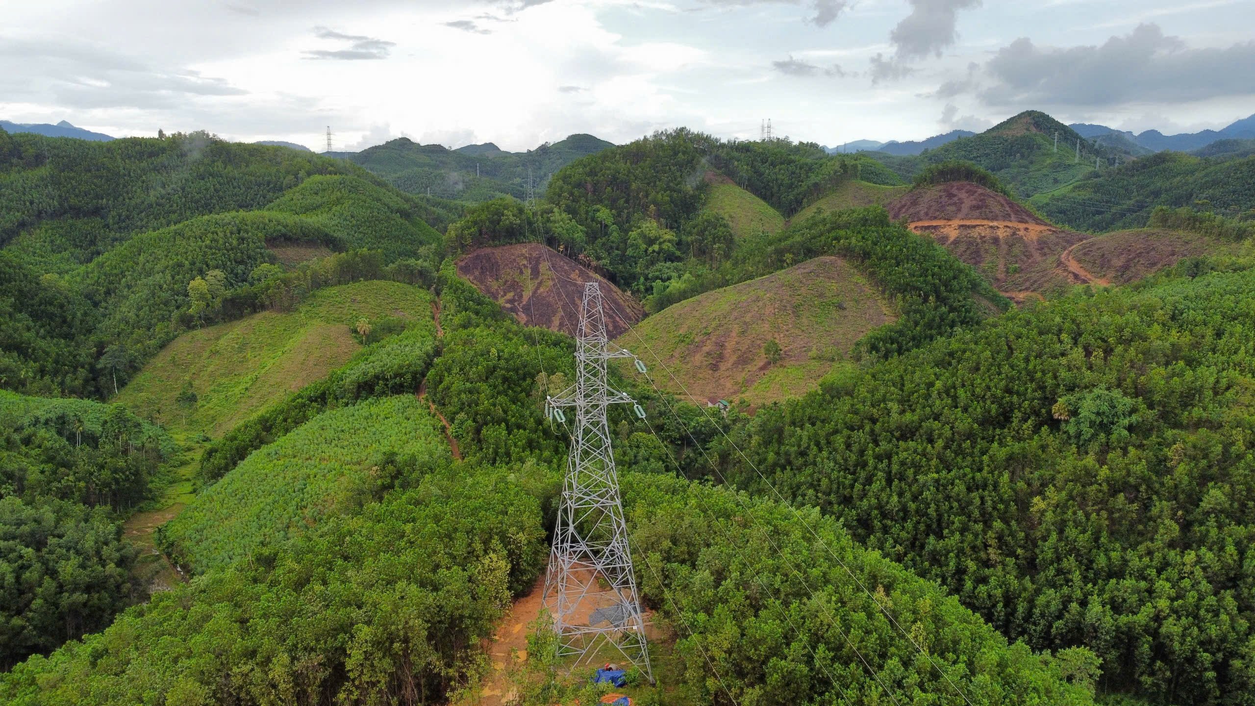 Vụ 64 trụ điện cao thế: Công ty Đạt Phương Sơn Trà nhận chuyển nhượng đất không chính chủ- Ảnh 1.