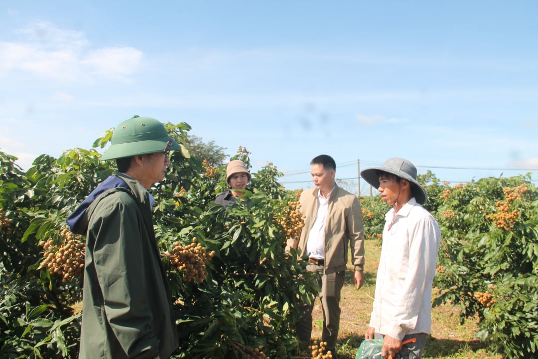 Liên kết để đi “đường dài”