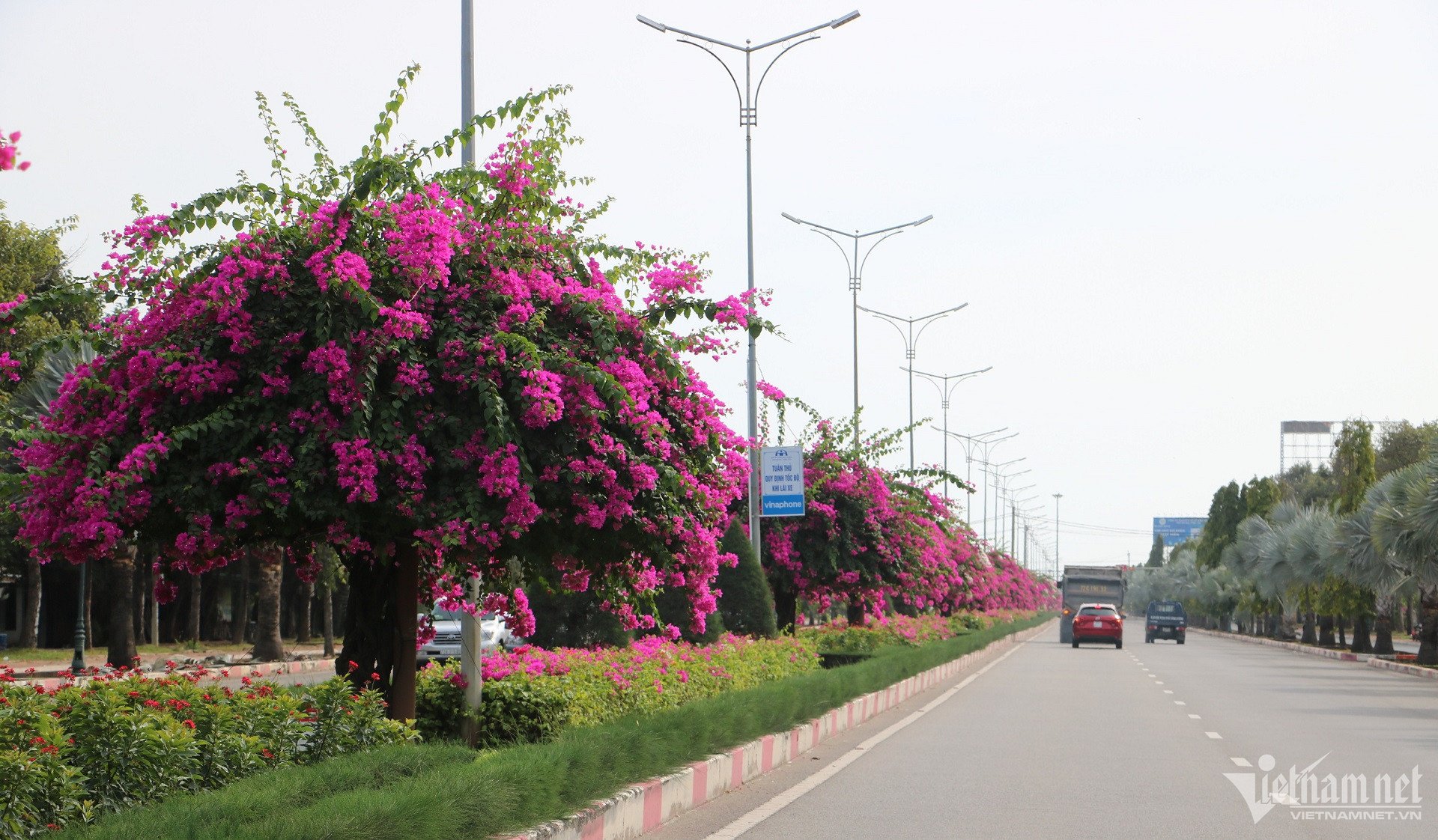 Carretera W-hoa-giay-vung-tau-5.jpg