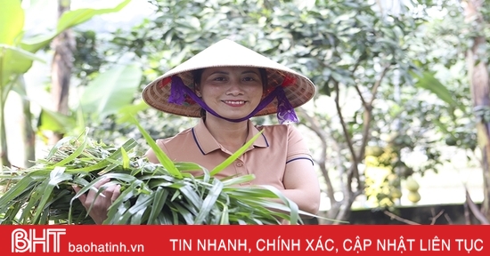 Huong Son Women's Union members get rich from garden economy model