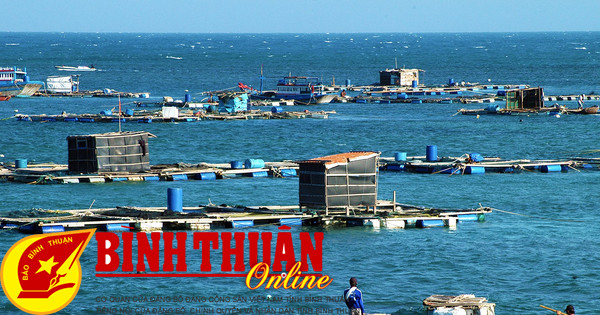 Binh Thuan and its marine farming potential