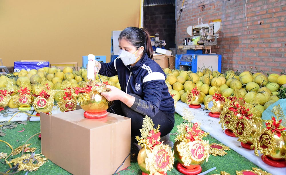 Fruta única para el Tet