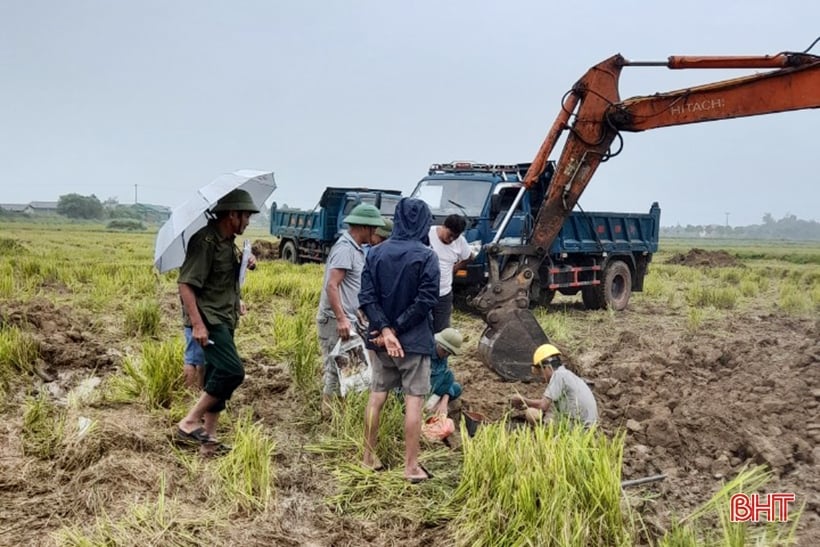 Sau vụ hè thu, Cẩm Xuyên bắt tay chuyển đổi ruộng đất hơn 465ha