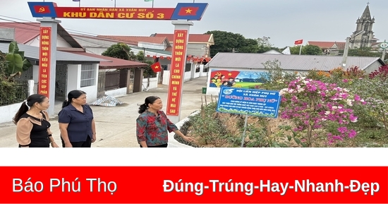 Tô thắm những đường hoa