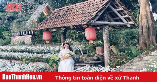 Gieo những “mùa hoa” trên “cánh đồng” du lịch