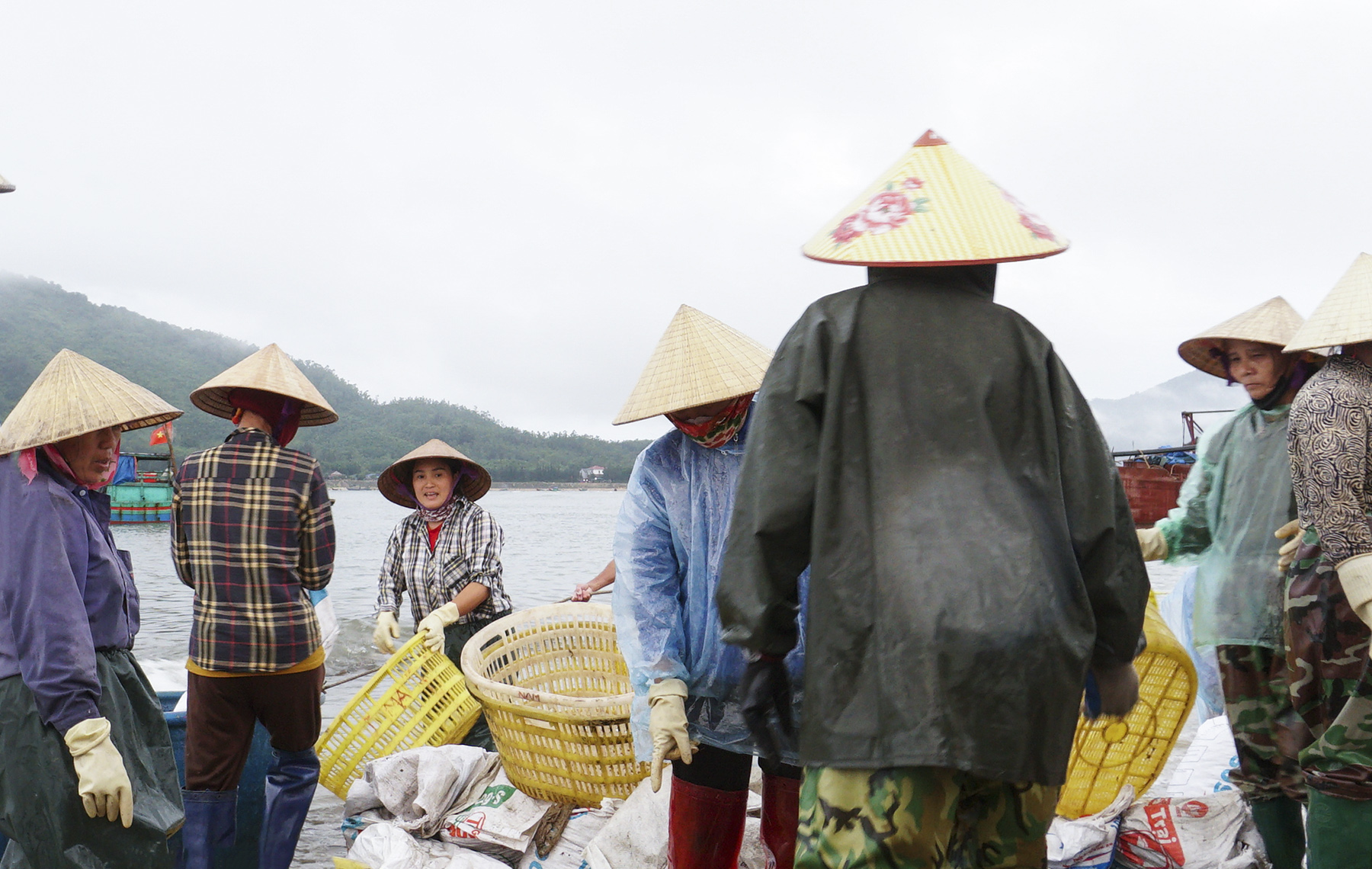 Mercado de pescado de Thien Cam - Foto 4.