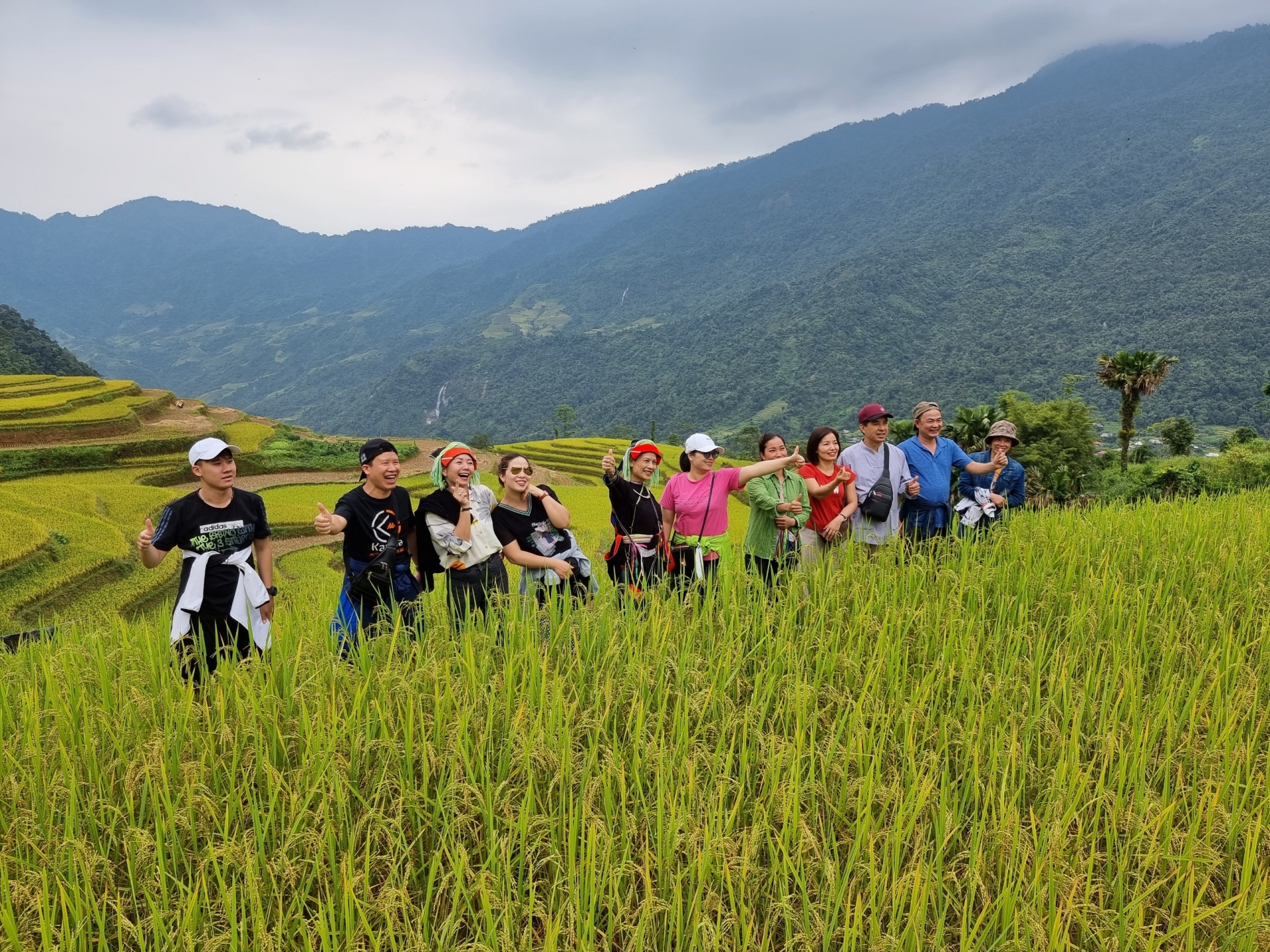 Tourists visit terraced fields and watch the ripe rice season in Lung Tao village.