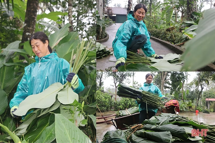 Village de Dong Leaf sur la plaine alluviale de la rivière Ngan Pho pendant la saison du Têt