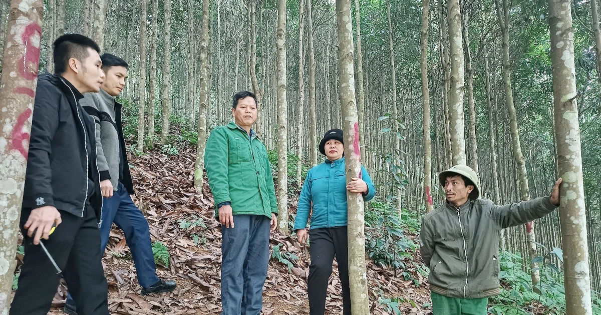 [Photo] Bao Yen remet en urgence le chantier du projet de ligne de transmission de 500 kV Lao Cai - Vinh Yen