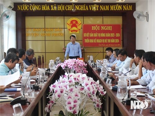 NTO - Ninh Phước: Triển khai kế hoạch sản xuất vụ hè