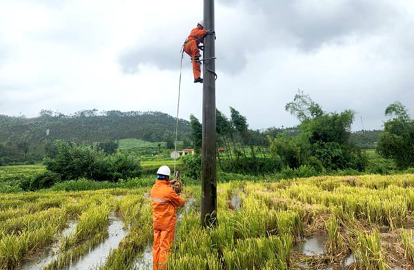 Tuyen Quang Electricity Company bemüht sich, die durch Sturm Nr. 3 verursachten Probleme zu überwinden