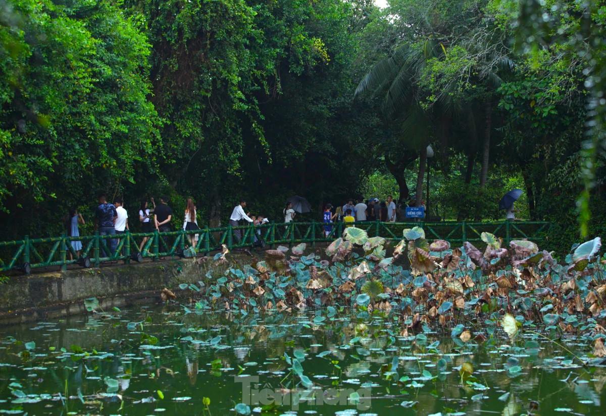 Hàng ngàn người hành hương về quê Bác trong ngày Tết Độc lập