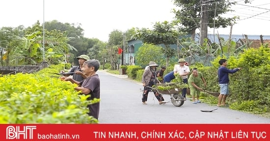 Ngày vui ở khu dân cư kiểu mẫu Tân Long