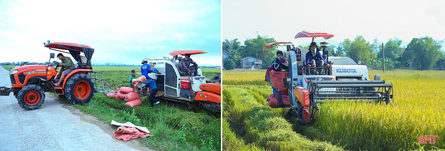 Building new rural areas in Ha Tinh: Going into depth, effectively and sustainably (part 2): Developing rural economy towards modernization and integration