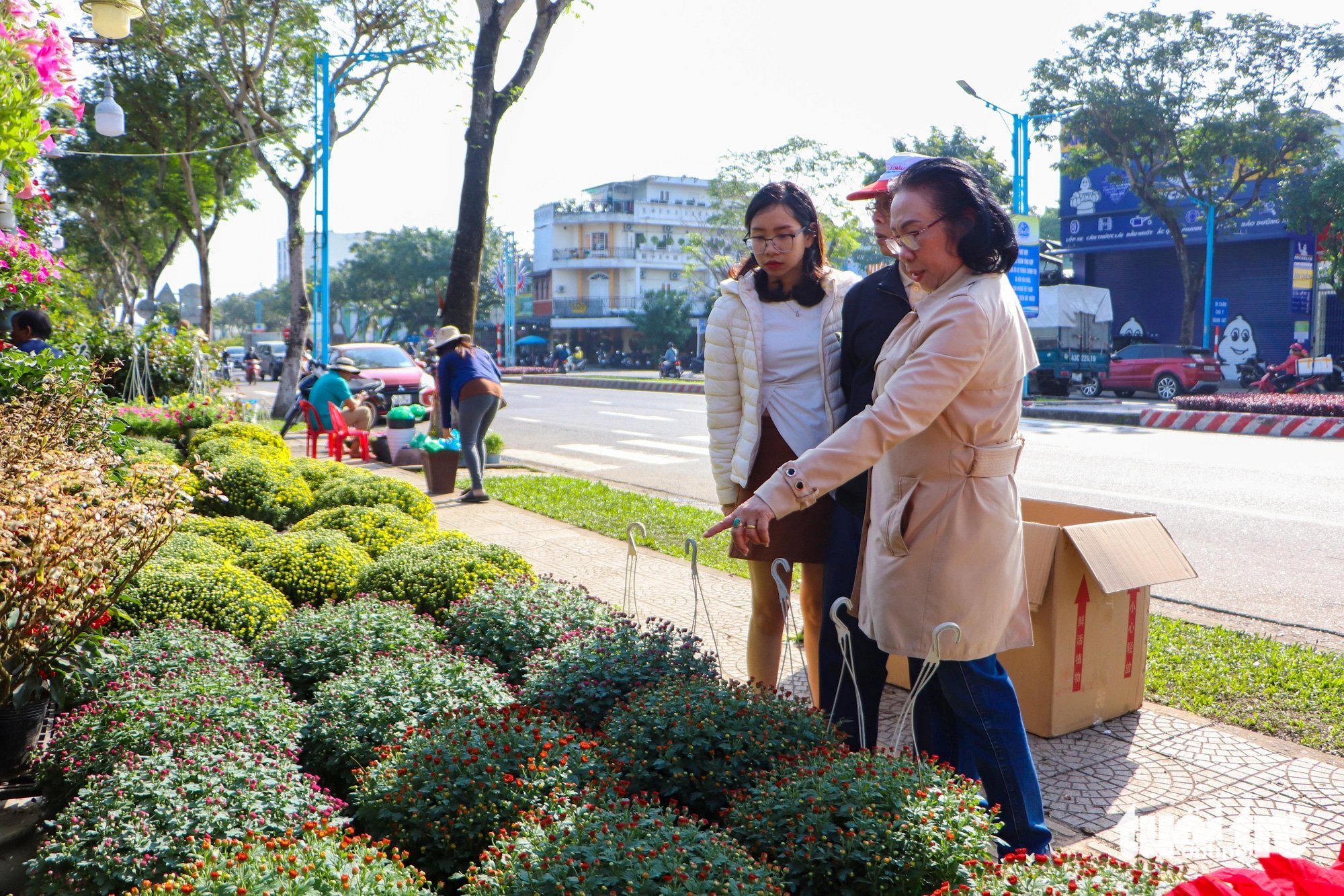 Đà Nẵng: Hoa Tết rực rỡ xuống phố, giá bình ổn - Ảnh 5.