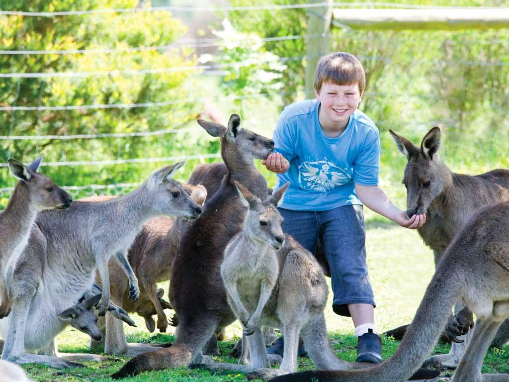 Du lịch Sydney Thành phố xinh đẹp đáng trải nghiệm tại xứ sở chuột túi