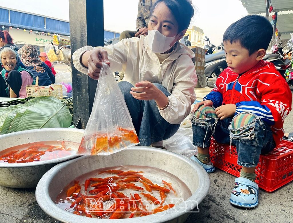 ขายปลาทองตลาดเตียนลู่ (Tien Lu)