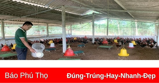 Giúp nông dân thoát nghèo