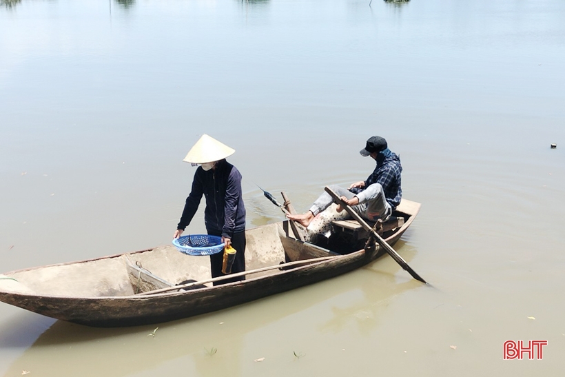 Stabilizing freshwater production, Ha Tinh harvests more than 9,200 tons of aquatic products