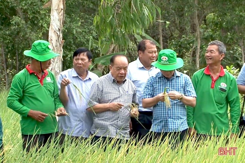 Grupo Guilin: por una agricultura circular y en desarrollo