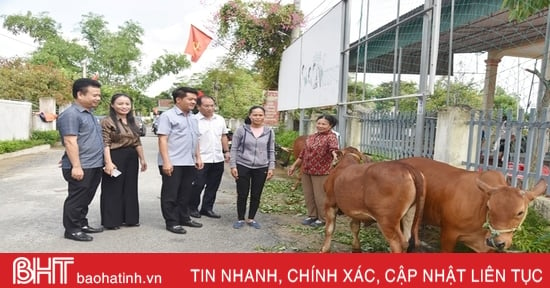 Ha Tinh promotes emulation movement "For the poor"