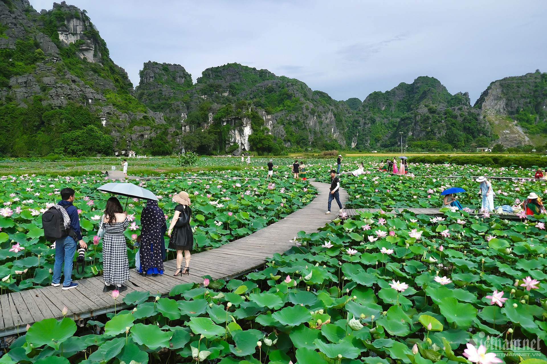 W-du lich, ninh binh 6.jpg