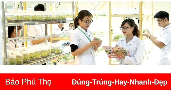 Phú Thọ trong top 10 địa phương dẫn đầu về vốn con người và nghiên cứu phát triển