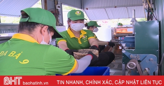 OCOP 3 sao - “vé thông hành” giúp bánh đa Xuân Lộc mở rộng thị trường