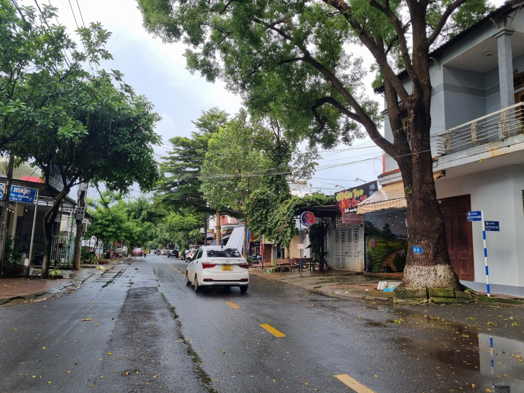 Đường Nguyễn Tri Phương (TP. Buôn Ma Thuột).