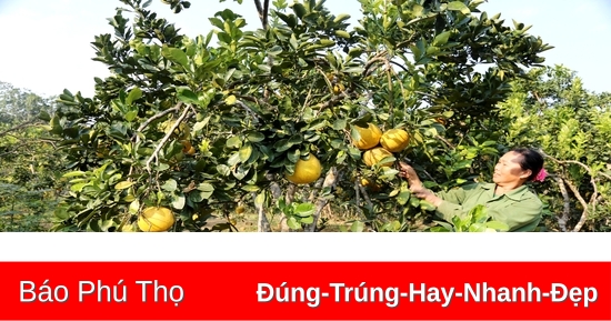 Sản xuất nông nghiệp, lâm nghiệp, thủy sản đạt 3,67%