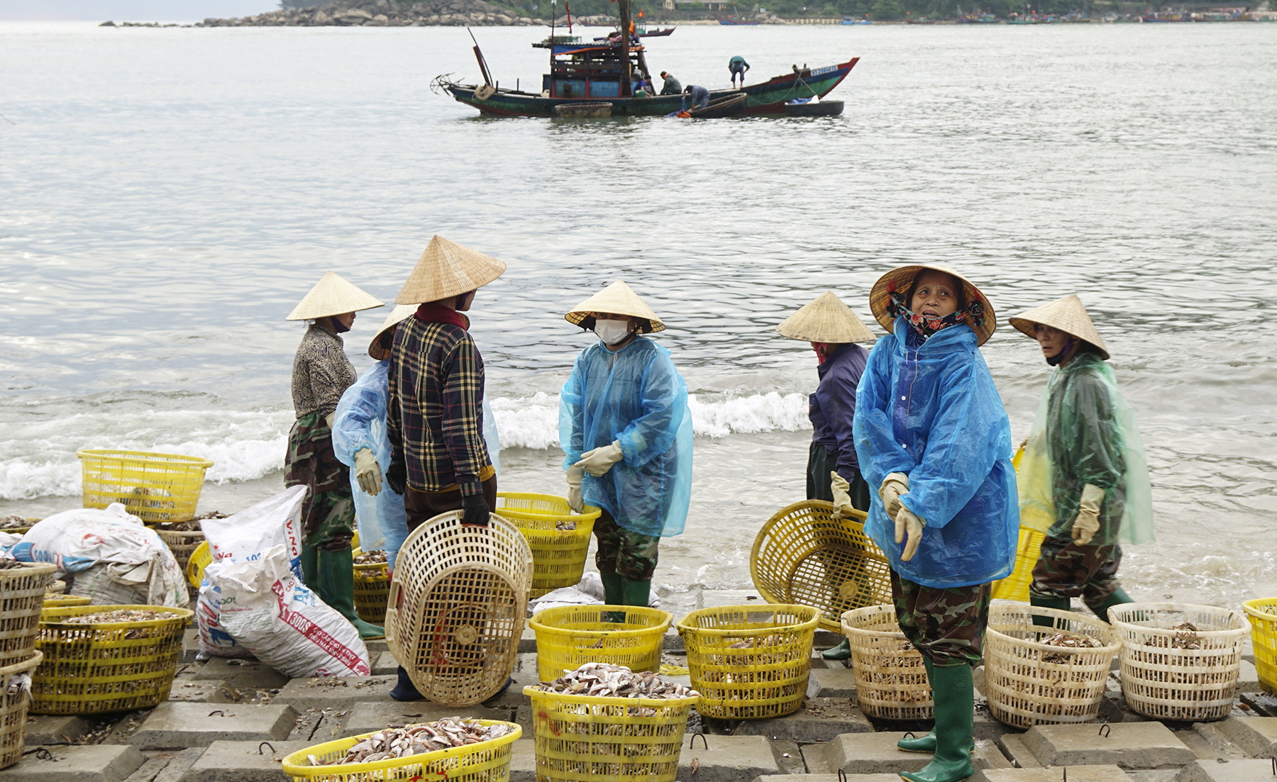 Mercado de pescado de Thien Cam - Foto 9.