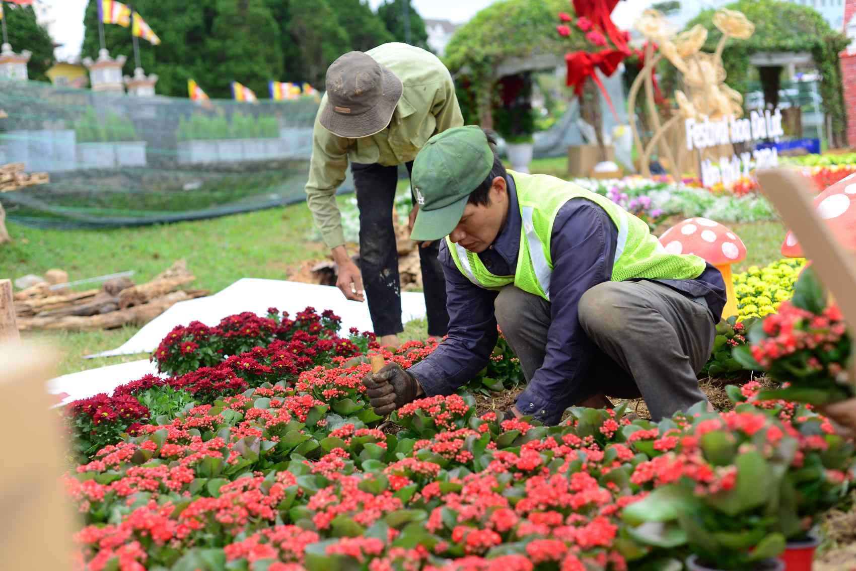 พื้นที่ดอกไม้ริมทะเลสาบ Xuan Huong เมืองดาลัต ตกแต่งอย่างสวยงาม ภาพ : ลัมหง