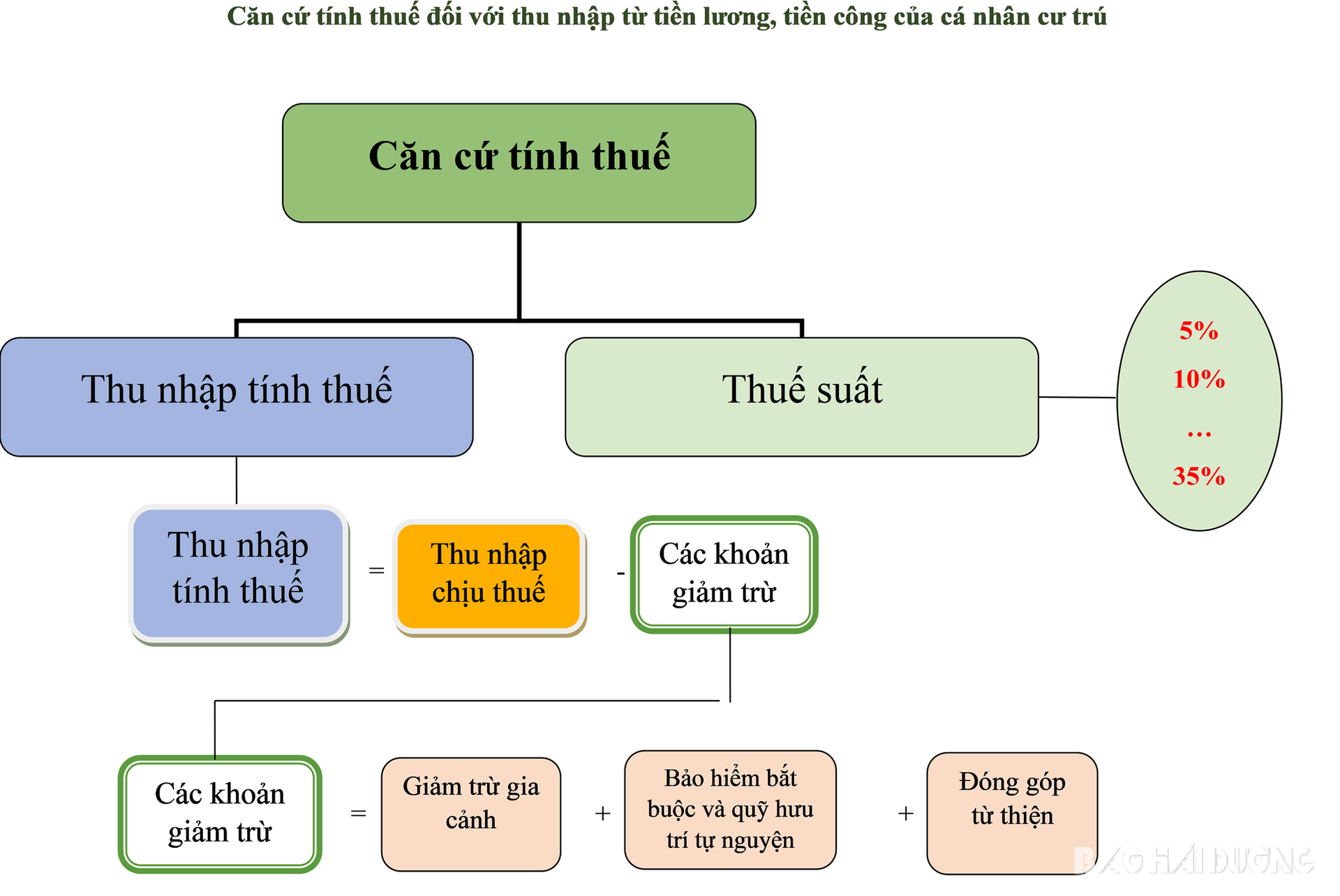 dohoa-tndn-2.png