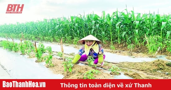 Kỳ vọng bứt phá từ sản xuất vụ đông