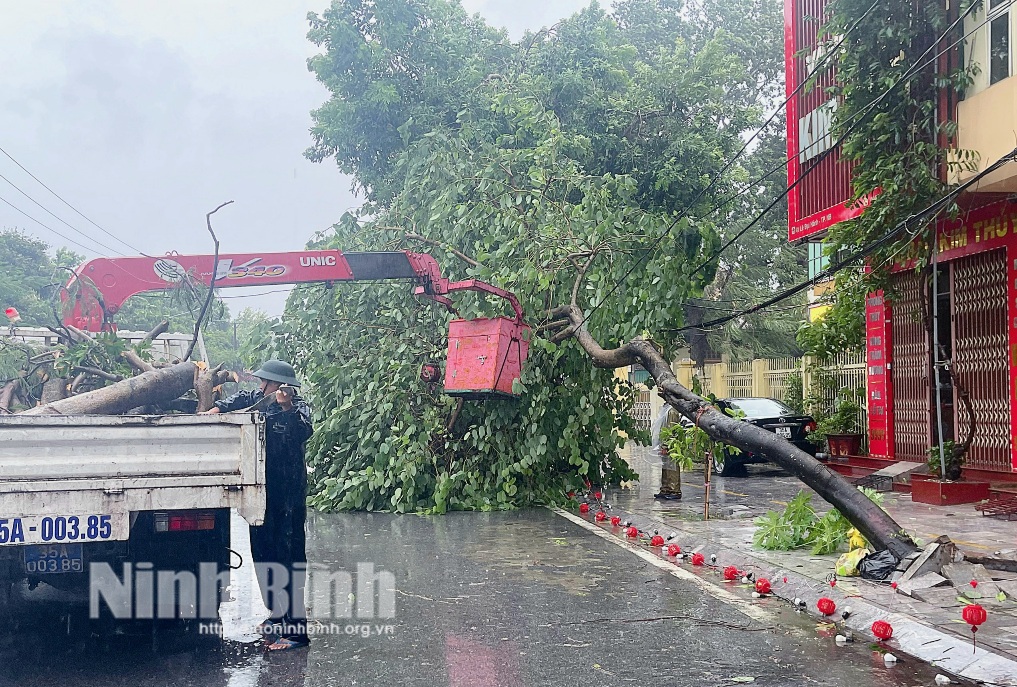 Las localidades responden con prontitud y proactividad a la tormenta Nº 3 y a las fuertes lluvias posteriores a la tormenta.