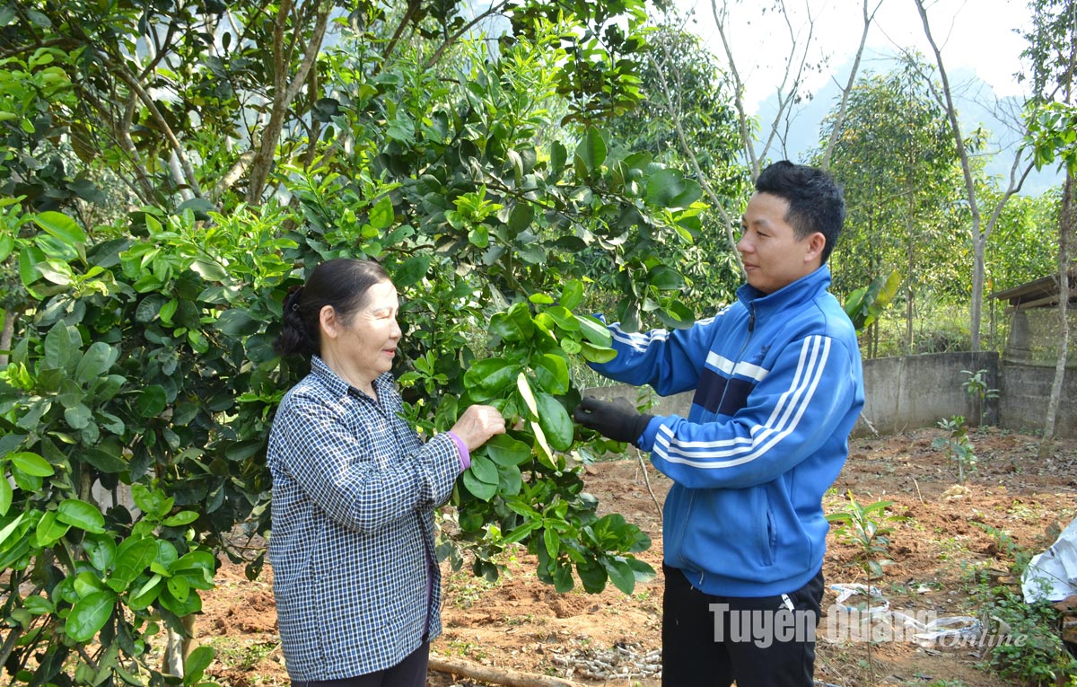 Đảm bảo bền vững dự án Chương trình phát triển khu vực nông thôn tỉnh Tuyên Quang