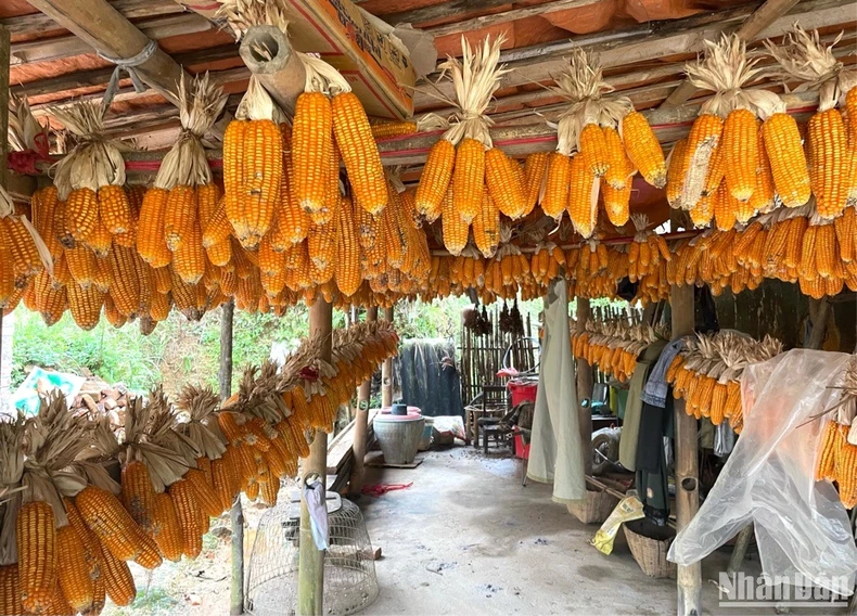 Einzigartige Architektur der Stampflehmhäuser mit Yin-Yang-Dächern des Dao Tien-Volkes in Cao Bang, Foto 2