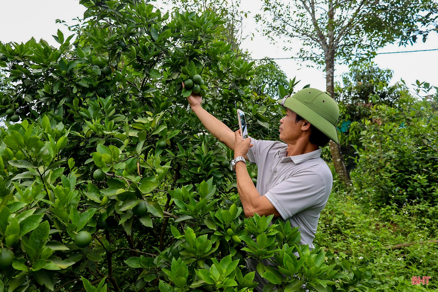 Chuyển đổi số - nhiệm vụ trọng tâm, xuyên suốt và đột phá trên hành trình phát triển (bài 3): Thúc đẩy giá trị mới trong các lĩnh vực kinh tế - xã hội tỉnh nhà