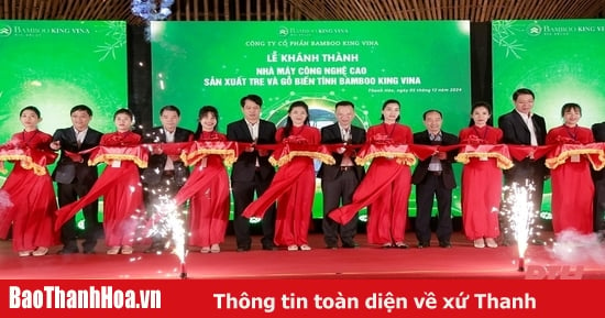 Khánh thành Nhà máy sản xuất tre và gỗ biến tính Bamboo King Vina