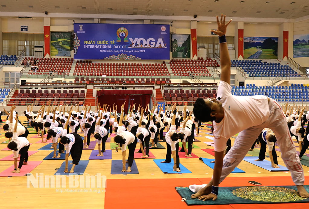 Chương trình chào mừng Ngày Quốc tế Yoga tại Ninh Bình