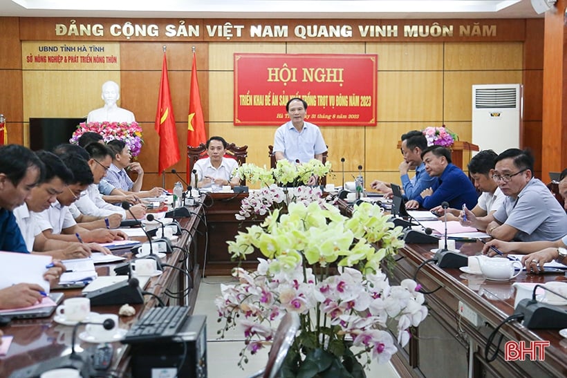 Hà Tĩnh phấn đấu diện tích gieo trồng vụ đông 2023 đạt gần 11.900 ha