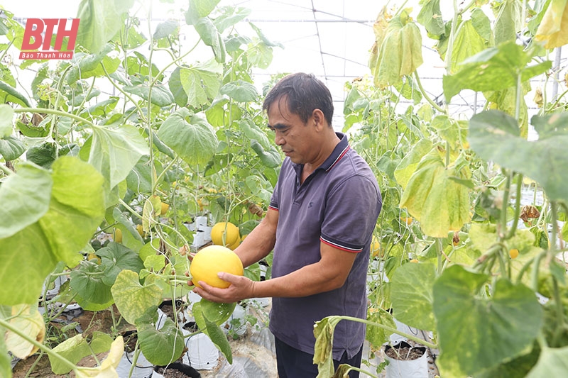 La eficacia de los jardines modelo