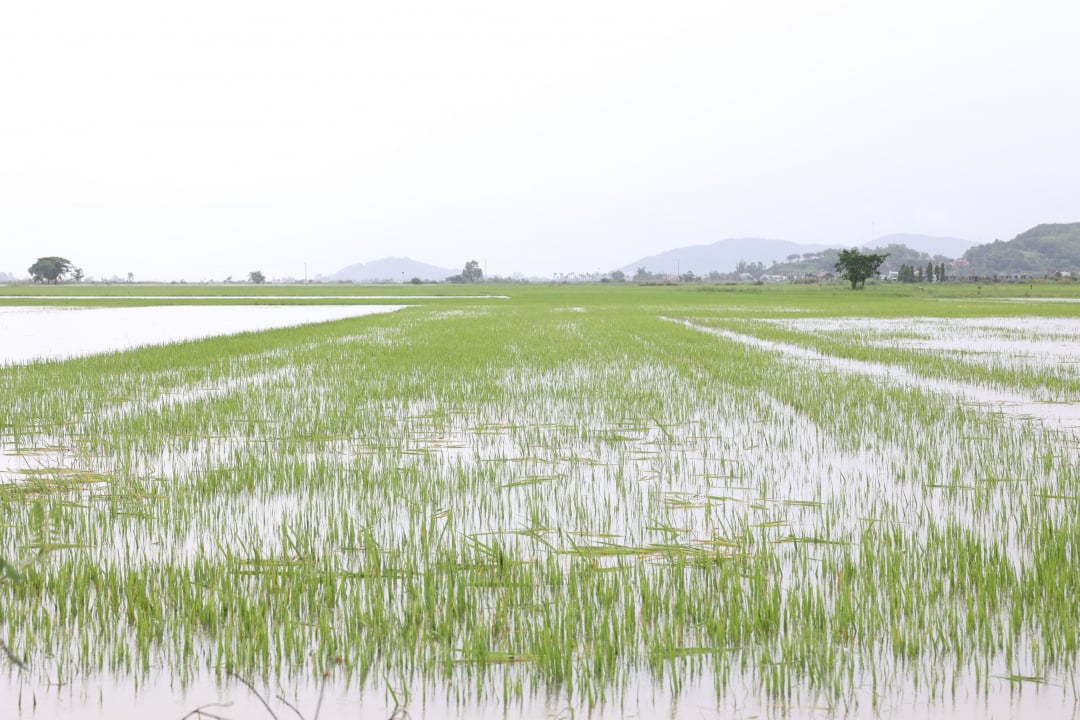 Proactively respond to floods and storms, ensuring safety for people in the province