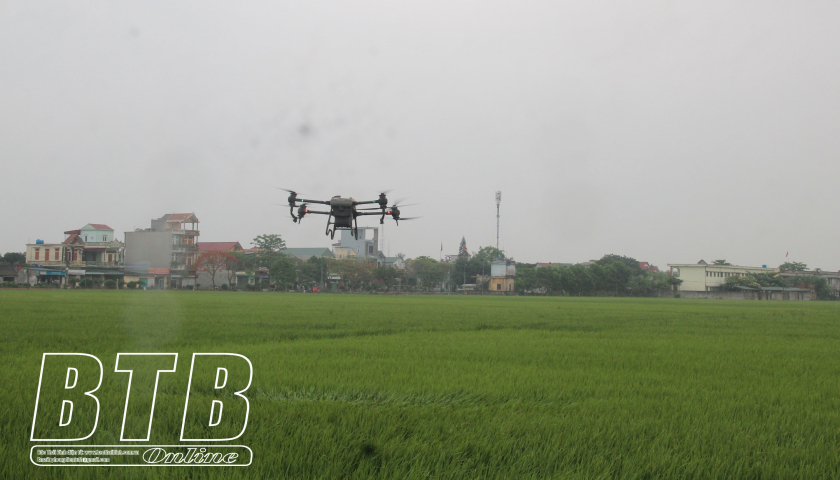 Sustainable rice production