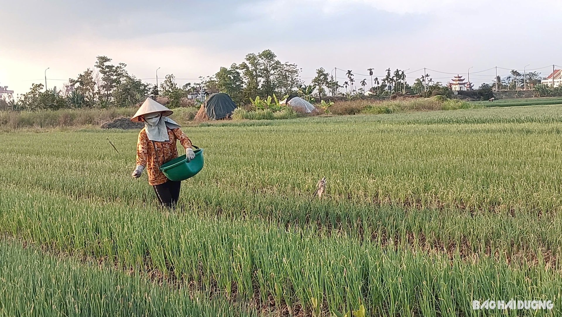 ភូមិ-នៃ-គីញ-មន-៥.jpg